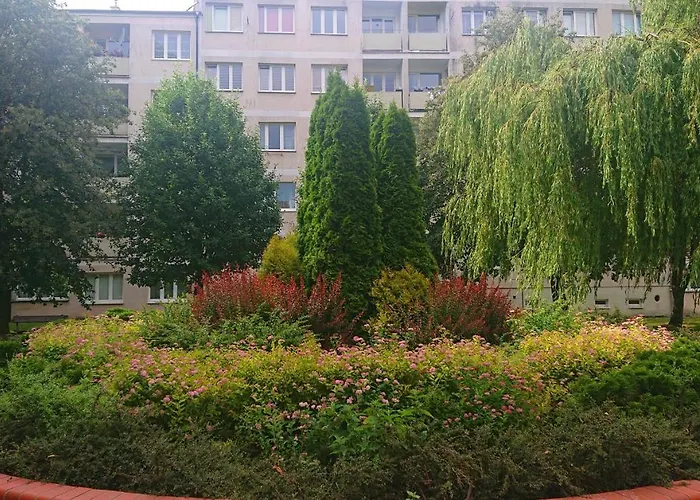 Apartament Navigare