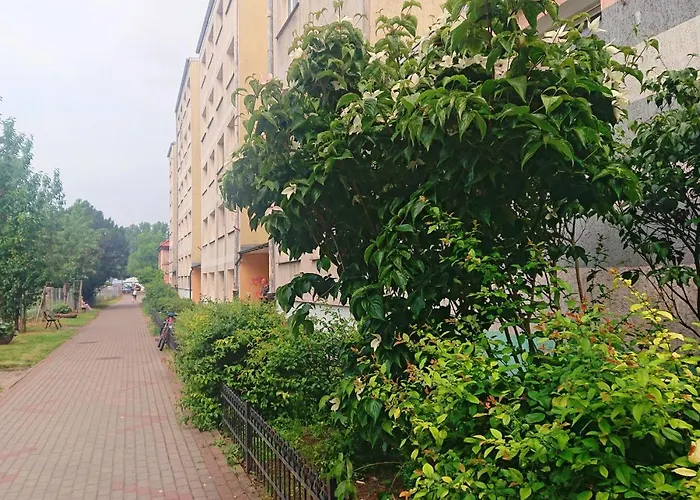 Apartament Navigare